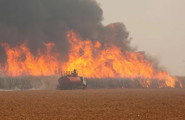 Crisis climática en Brasil: el país afronta la sequía más severa de su historia y registra un récord de incendios