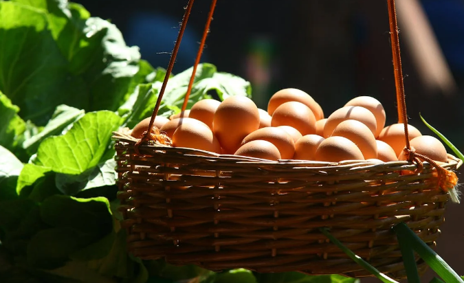 Día Mundial del Huevo: Costa Rica produce más de 90 mil toneladas para satisfacer demanda nacional