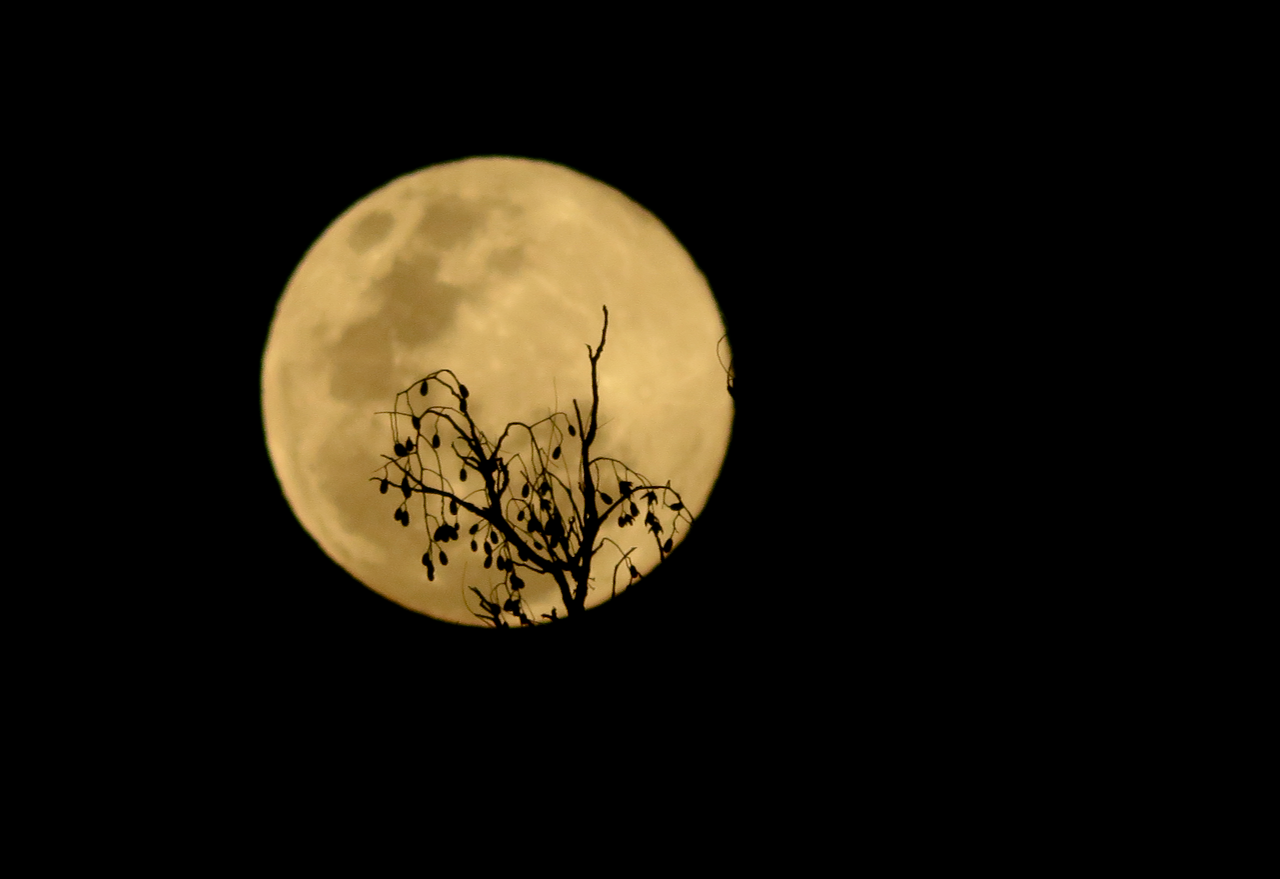 Este jueves se observará la Luna llena más cercana a la Tierra durante este año