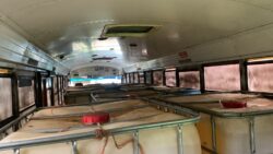 OIJ confirma detención de “Macho Coca” en Limón por presunto robo de combustible