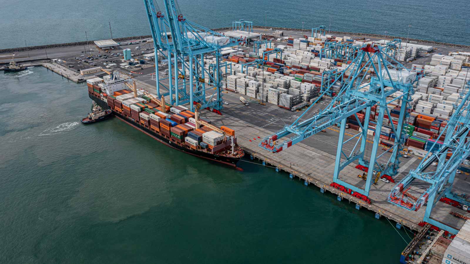 Interrupción de Internet en APM Terminals afecta atención de citas para transportistas