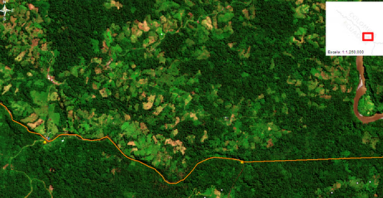 Un informe del gobierno de Estados Unidos advierte que Ecuador podría ser catalogado como gran productor de drogas ilícitas
