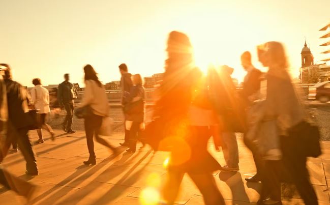 Alerta roja de la Organización Meteorológica Mundial: 2024 será el año más cálido registrado