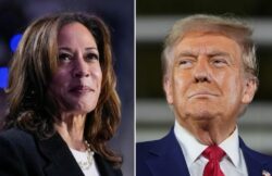 Kamala Harris o Donald Trump: qué día y a qué hora se conocería al próximo presidente de los Estados Unidos