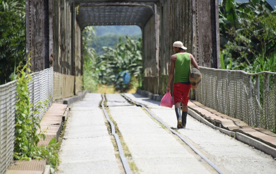 Estudio de la UCR encontró jornadas laborales de hasta 84 horas semanales en bananera de Limón