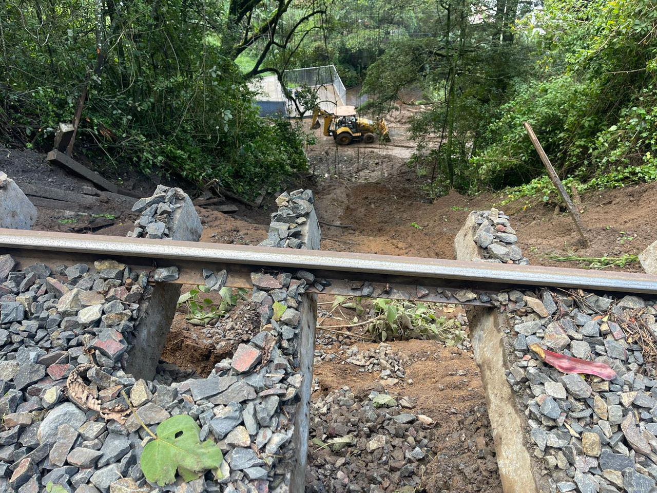 Piden declarar emergencia por problemática en vías del tren en ruta hacia Cartago