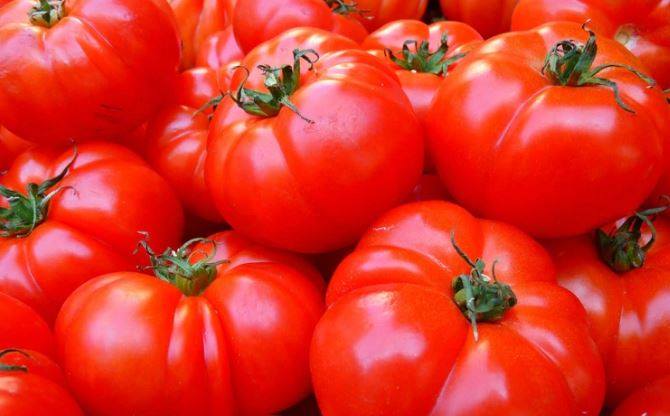 Precio del tomate aumentó un 70% en Ferias del Agricultor