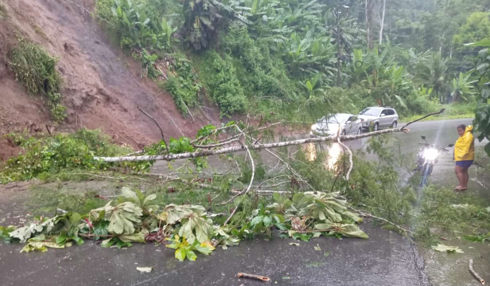 CNE reportó más de 70 incidentes por lluvias en el Caribe debido al empuje frío No. 2