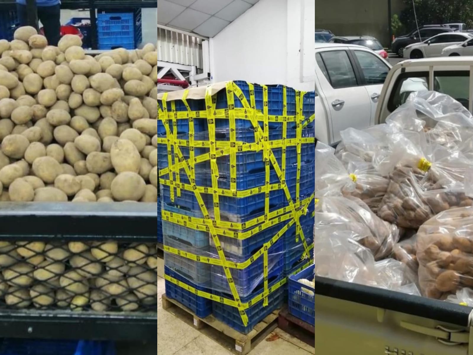 MAG decomisó más de 700 kilos de papa en un supermercado en el centro de San José