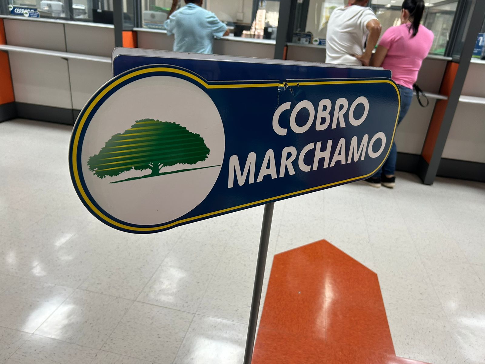 Casi 50 mil marchamos se pagaron en primera semana de cobro: Aun falta más del 97% por cancelar