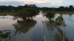 Reportaje Especial: Las inundaciones impactaron cultivos importantes para Costa Rica ¿Está garantizada la seguridad alimentaria?