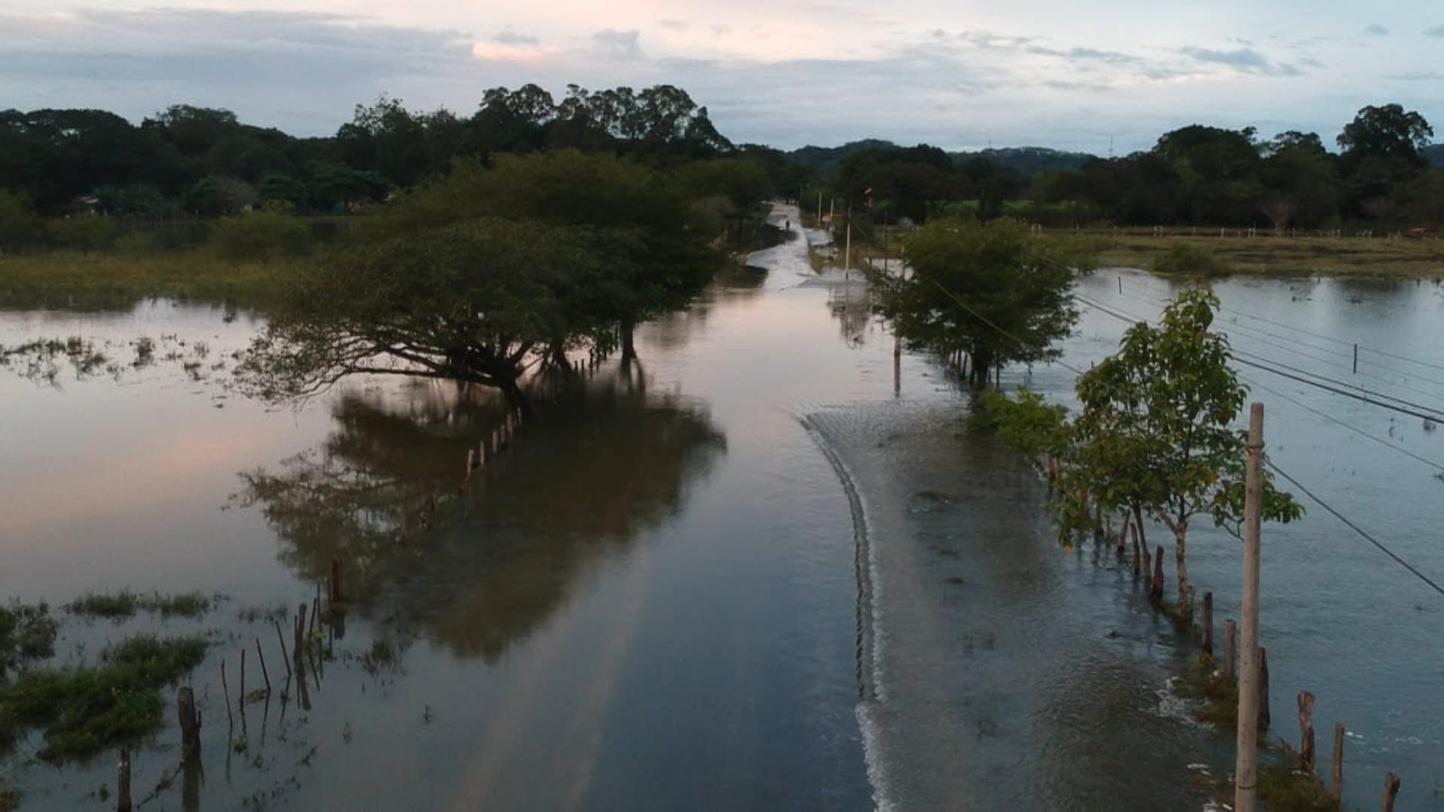Sector agrícola reporta “grandes pérdidas” en plantaciones y prevé incremento en precios por lluvias