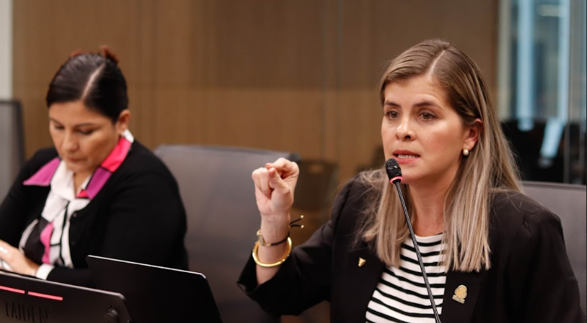 Ministra de la Presidencia solicita a diputados avanzar con proyecto “Jaguar” excluyendo artículos declarados inconstitucionales