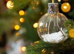 Relatos Navideños (Capítulo 2): Don Prudencio hace una apuesta con ‘El Egoísmo’