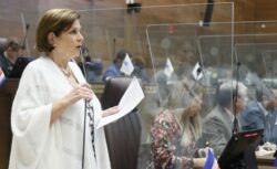 Oficialismo espera avance de proyecto de Ley “Jaguar” antes de que finalice el año