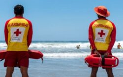 Más de mil cruzrojistas abordarán operativo de fin y principio de año a partir del 21 de diciembre