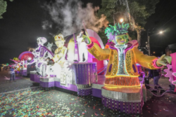 ¿Va para el Festival de la Luz? Autoridades anunciaron operativo de seguridad para el evento