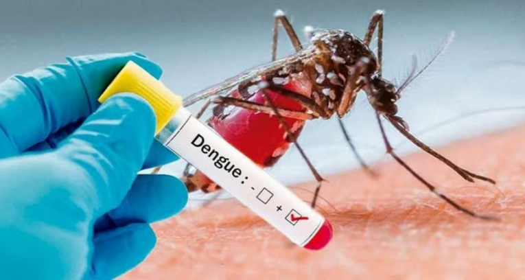 2024 cierra como el año con más casos de dengue desde el 2013