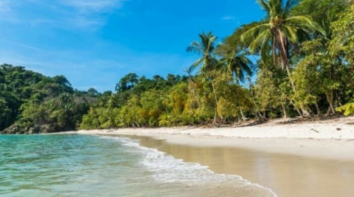 Autoridades recuerdan a turistas no extraer piedras, conchas y recursos marinos de las playas