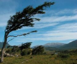 IMN anticipa que vientos alisios acelerados se mantendrán para este lunes