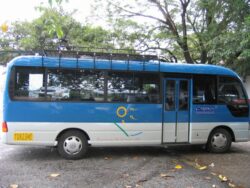 Transportistas de turismo lanzan críticas al CTP y piden celeridad en aprobación de permisos y gestión de citas