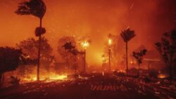 Consulado en Los Ángeles confirma muerte de mujer costarricense producto de incendios