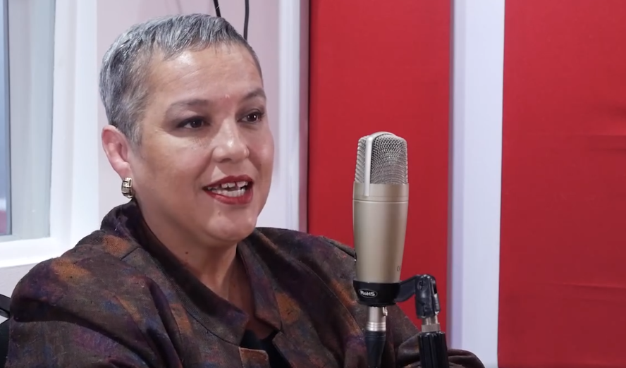 Precandidata del PLN Carolina Delgado: ‘Esta campaña rompe con lo tradicional’