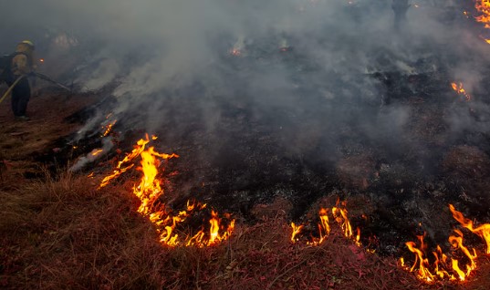 Incendios en california: hay más de 12.300 estructuras afectadas y ocho millones de personas en zona de riesgo