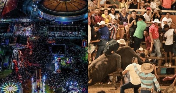 ¡Música, comida y toros! Este fin de semana puede disfrutar de las tradicionales fiestas de Palmares y Santa Cruz