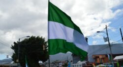 Siete personas solicitaron cita para inscribirse como precandidatos con el PLN