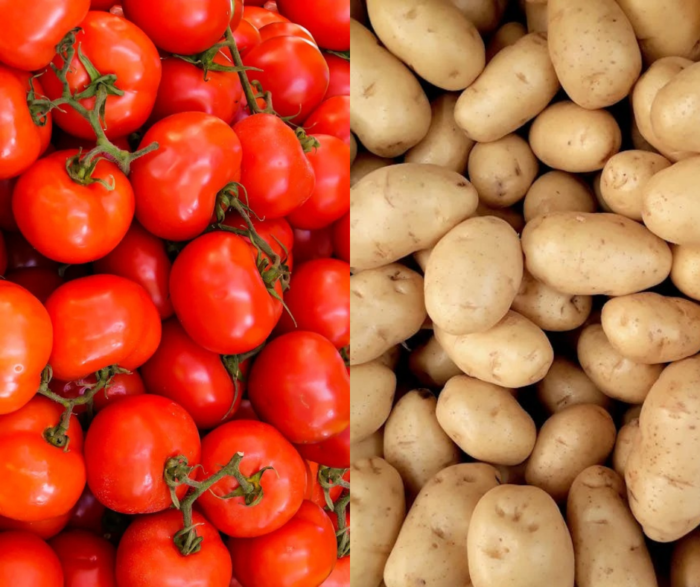 Precio de la papa inició el año en más de ¢2300 por kilo y refleja aumento de 279% en un año