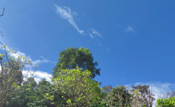 IMN prevé vientos moderados y temperaturas más cálidas para este lunes