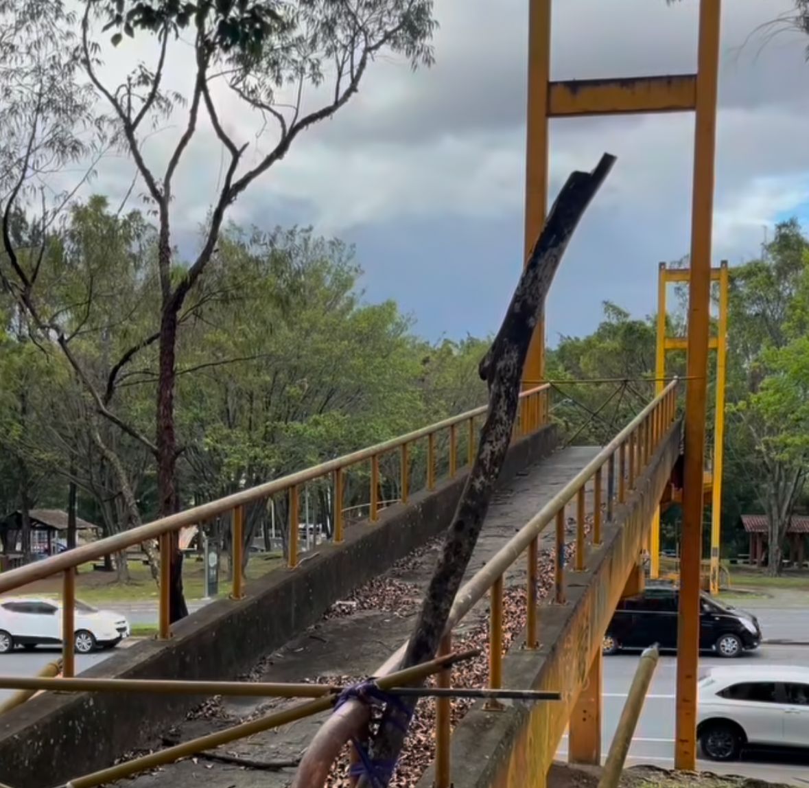 Regidor josefino presenta recurso de amparo para que se instale puente peatonal en el Parque de La Paz