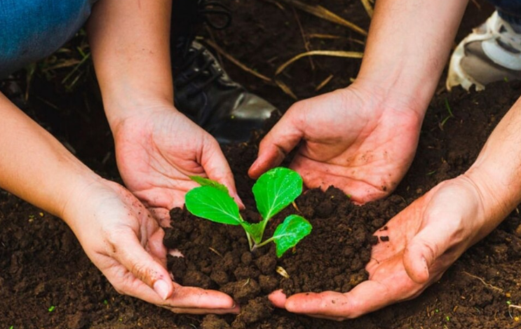 Proyecto busca que se brinde educación ambiental en centros educativos