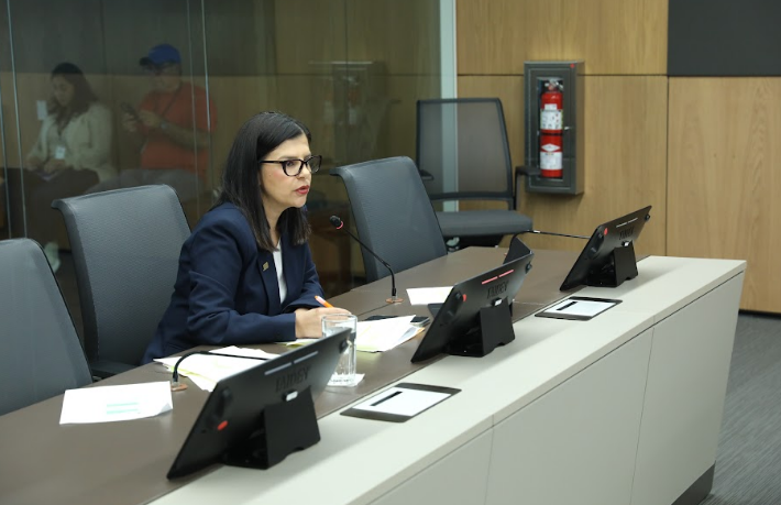 Presidenta del INS afirma que póliza para altos jerarcas no es ilegal