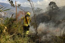 Sudamérica enfrenta su peor temporada de incendios, más de 79 millones de hectáreas arrasadas