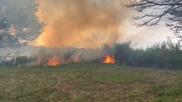 Bomberos atienden incendio de tres hectáreas en un charral en Hatillo