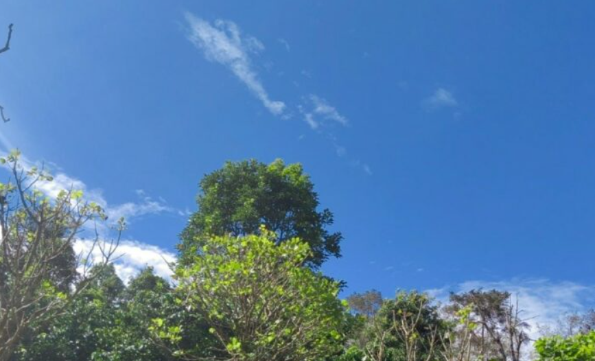 IMN prevé condiciones estables y ventosas en gran parte del país para este inicio de semana