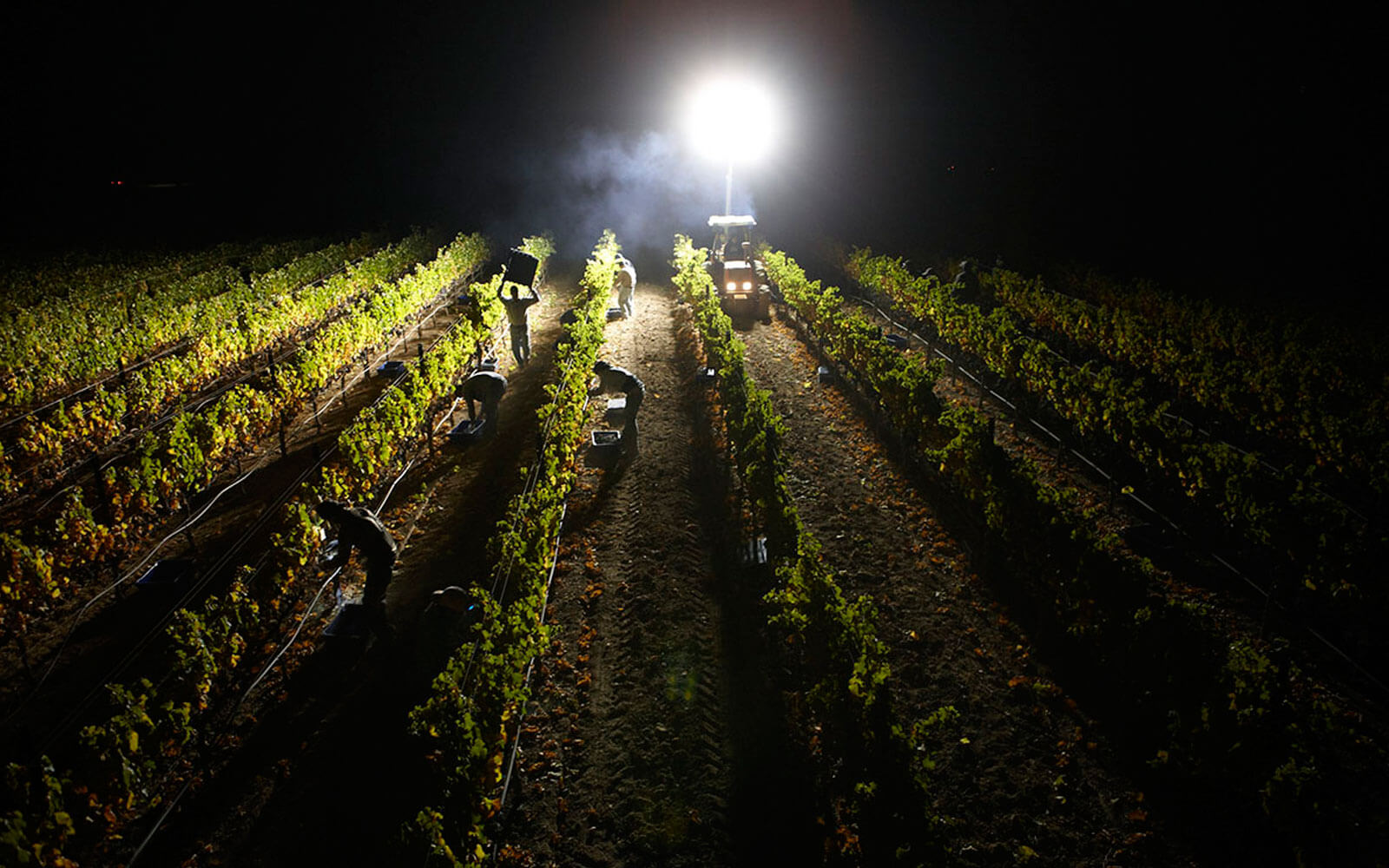 IMN confirma incremento en temperaturas nocturnas