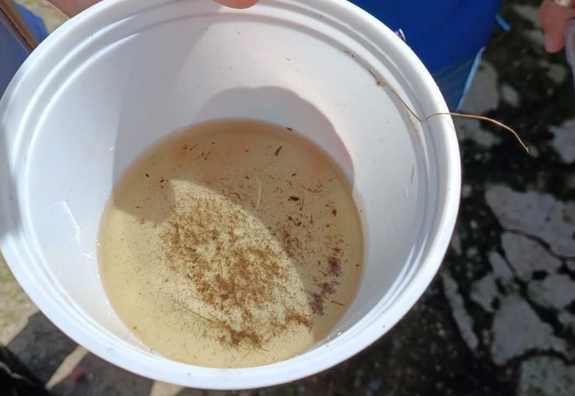 Salud recuerda acciones clave para evitar criaderos de dengue durante época lluviosa