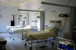 País inició el año con dos casos por semana de miasis por gusano barrenador en humanos