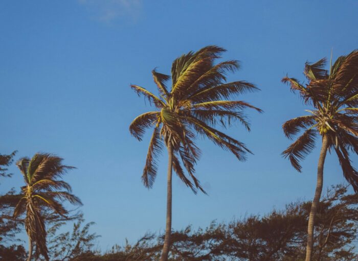 ¡Aliste el abrigo! IMN calcula que aún faltan al menos 10 empujes fríos para lo que resta de la temporada