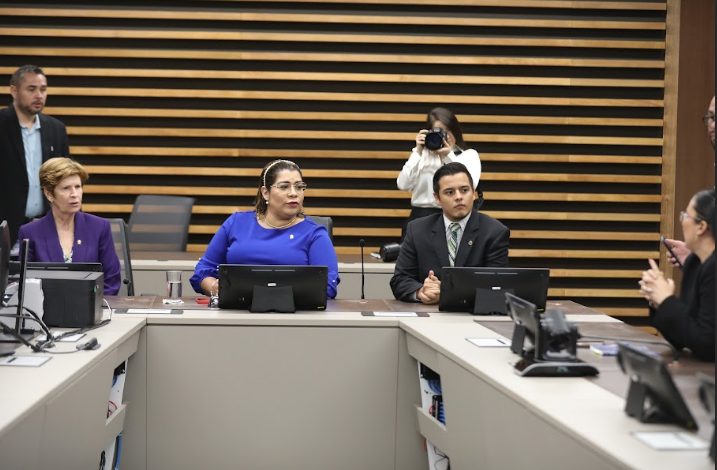 Avanza plan que elevaría penas por estafa informática a adultos mayores