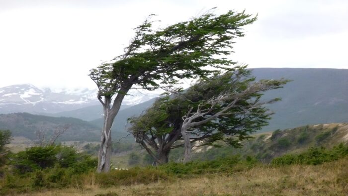 IMN reportó vientos con velocidades superiores a los 100 km/h este fin de semana