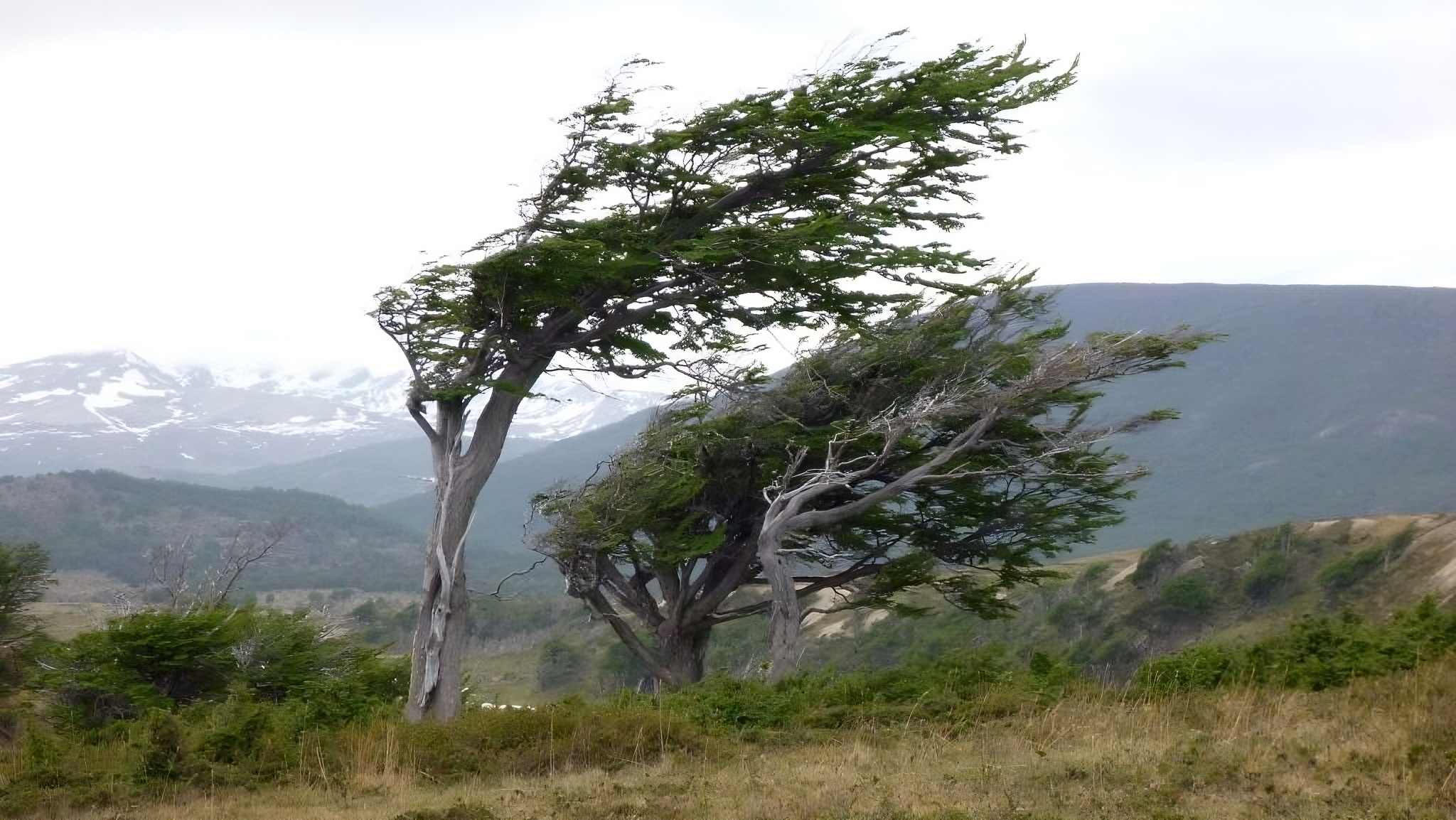 IMN reportó vientos con velocidades superiores a los 100 km/h este fin de semana