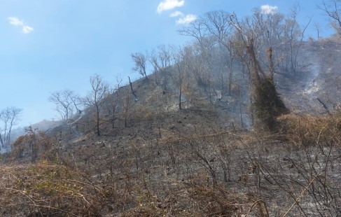 Bomberos trabajan en el control de tres nuevos incendios forestales en Guanacaste