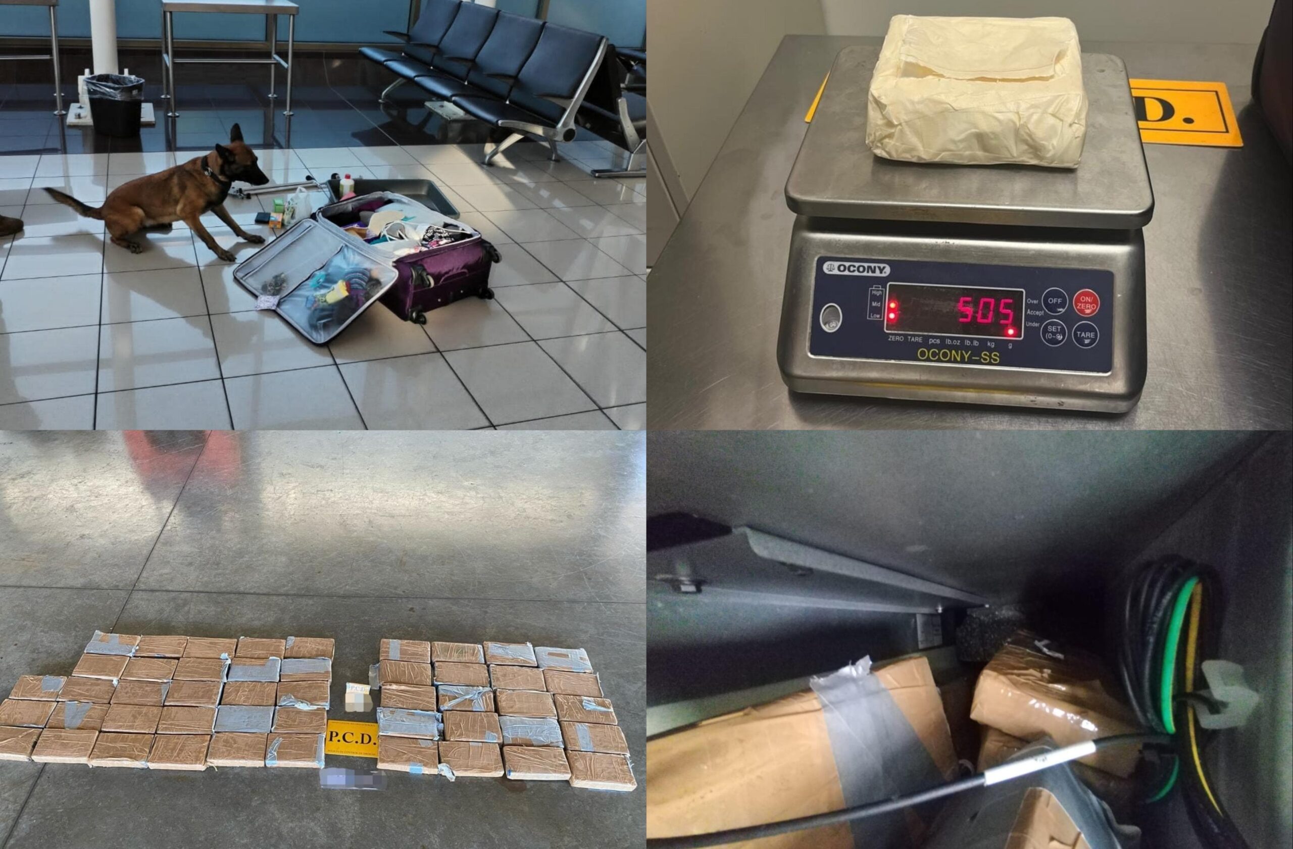 Detuvieron a mujer estadounidense con medio kilo de cocaína en el Aeropuerto Juan Santamaría