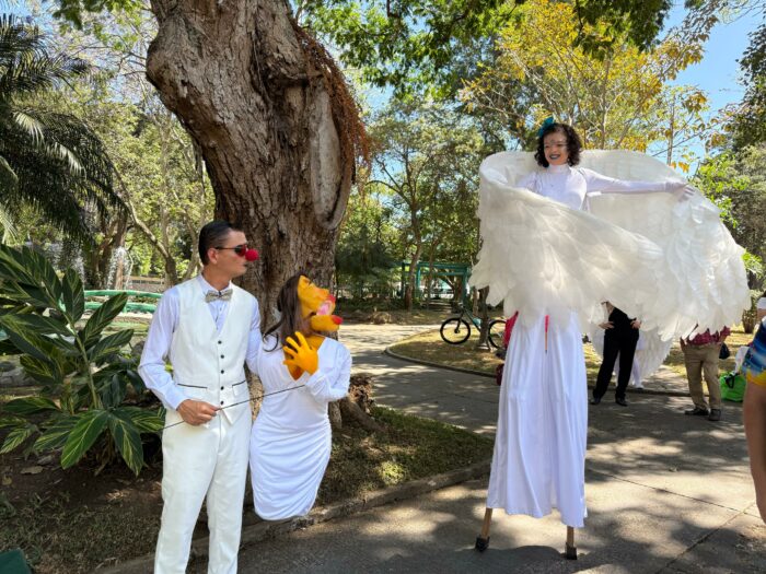 Transitarte 2025 incluirá más de 300 actividades y un concierto con los Auténticos Decadentes