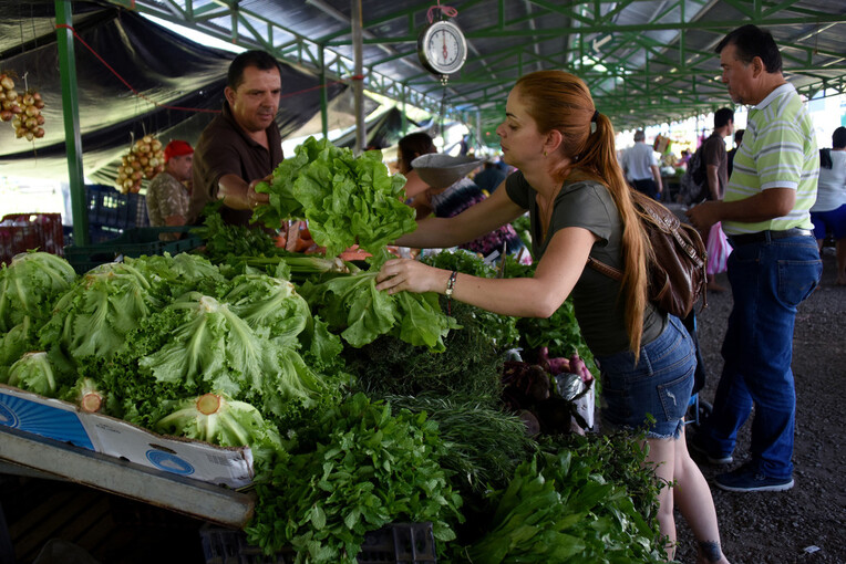 ¿Cómo están los precios en las ferias? Chile dulce y tomate están más baratos