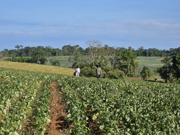 Agricultores piden a Laura Fernández cambio de jerarca en el MAG